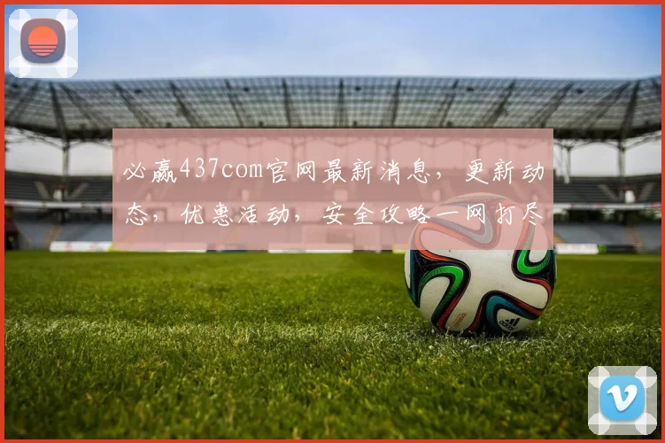 必赢437com官网最新消息，更新动态，优惠活动，安全攻略一网打尽，不容错过