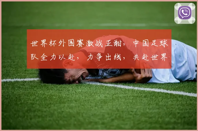 世界杯外围赛激战正酣，中国足球队全力以赴，力争出线，共赴世界之巅