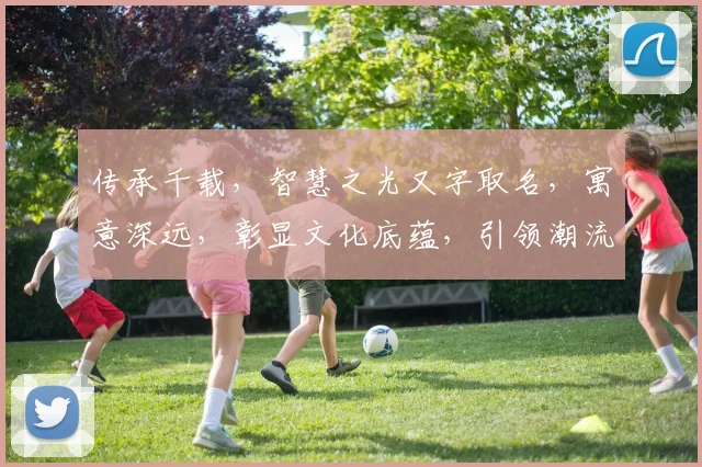 传承千载，智慧之光又字取名，寓意深远，彰显文化底蕴，引领潮流风尚