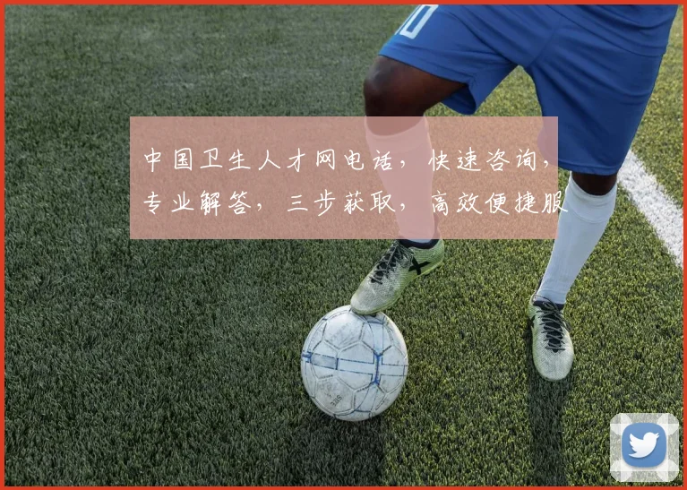 中国卫生人才网电话，快速咨询，专业解答，三步获取，高效便捷服务，一触即达