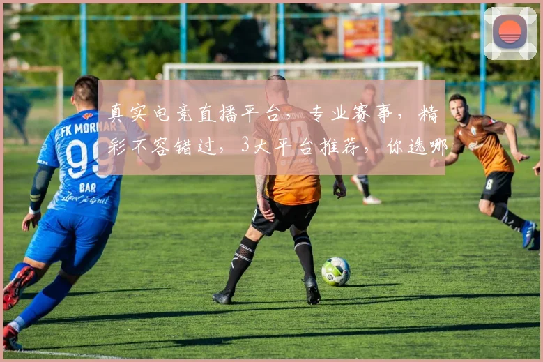 真实电竞直播平台，专业赛事，精彩不容错过，3大平台推荐，你选哪个