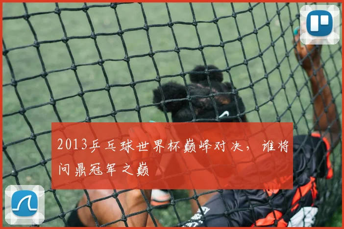 2013乒乓球世界杯巅峰对决，谁将问鼎冠军之巅