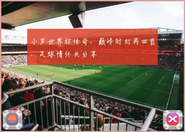 小罗世界杯传奇，巅峰时刻再回首，足球情怀共分享
